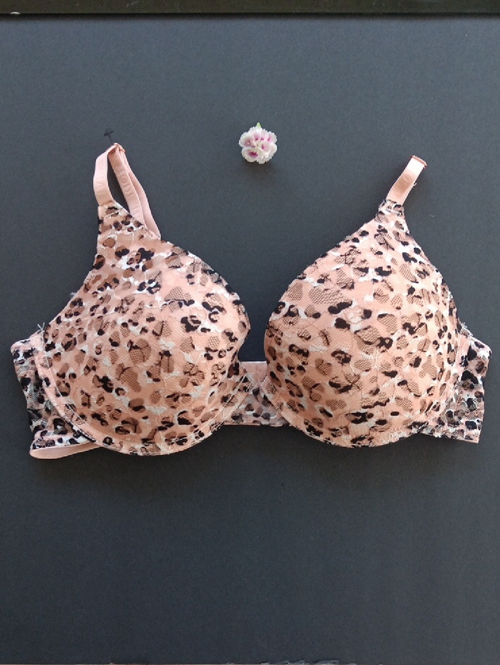 Thalia Sodi Pink Leopard Lace Push-Up Bra Size36C